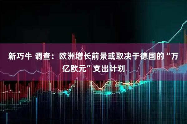 新巧牛 调查：欧洲增长前景或取决于德国的“万亿欧元”支出计划