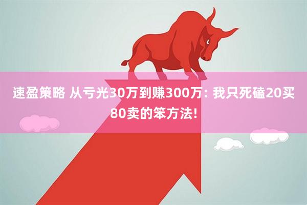 速盈策略 从亏光30万到赚300万: 我只死磕20买80卖的笨方法!